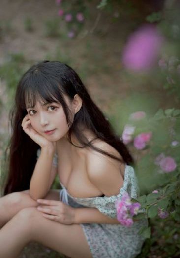 真武巅峰动漫在线观看全集免费_1080P完整在线观看